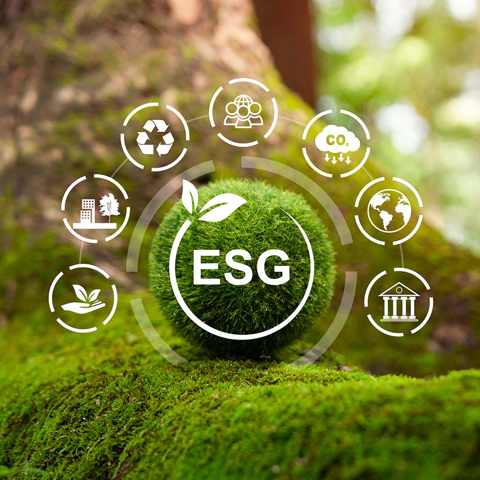 Nasce il Comitato di Sostenibilità: un nuovo organismo aziendale per i temi ESG