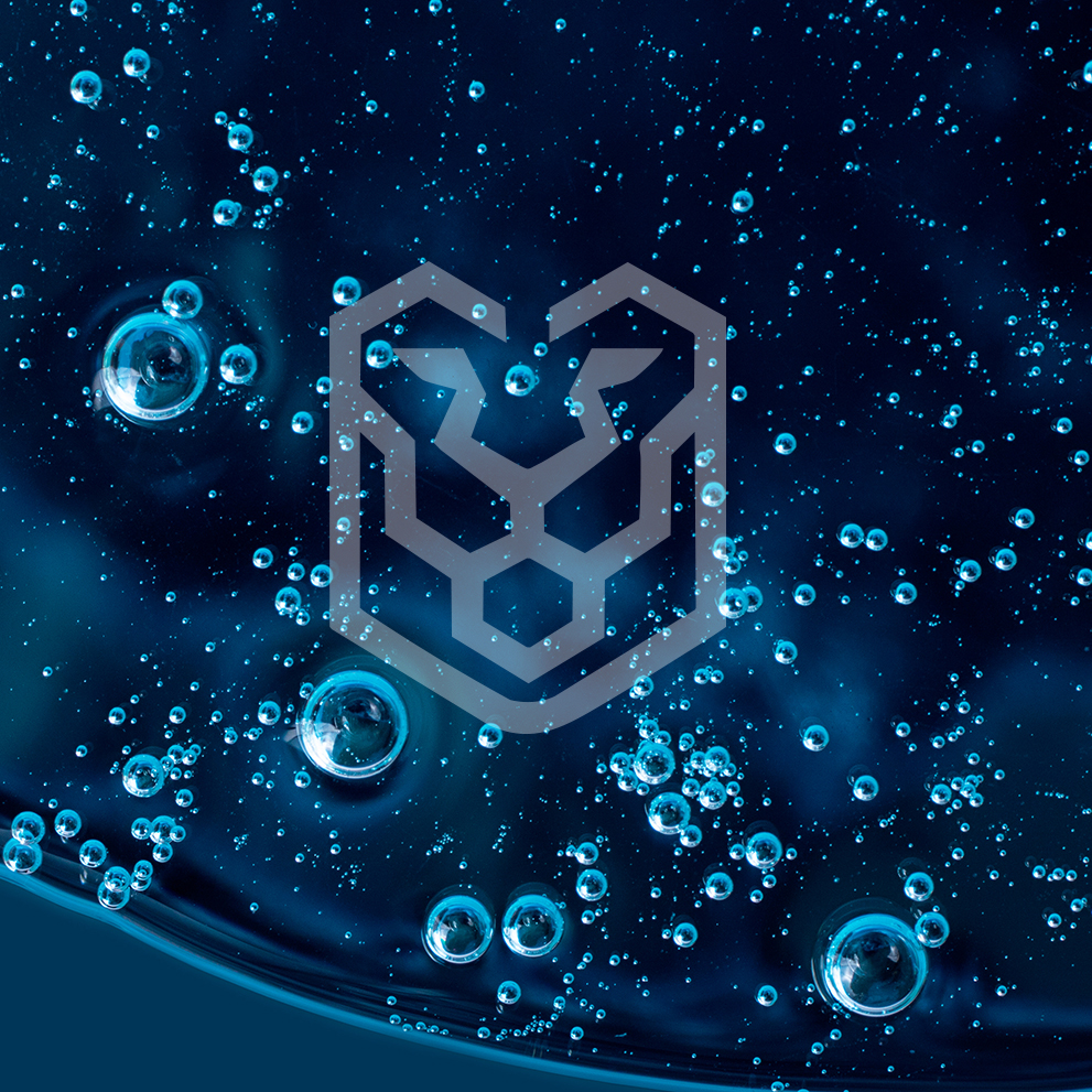 LEONE is a go: five Veneto innovators unite for next-generation electrolysers